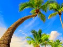 焼けてしまった「後」が大切。日焼けの正しいアフターケア