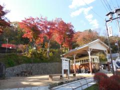 長年人々に愛されている伊香保温泉。ランキング上位の旅館を厳選♪