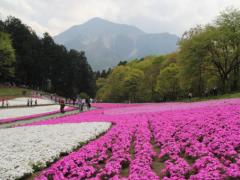 次のお出かけはここに決まり♡観光スポットがいっぱいの埼玉県を楽しもう！