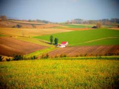 美しい丘のまち美瑛で過ごす、1泊2日の観光はこれで決まり！