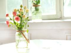 Nextブームの予感♡オトナ女子の間で話題の◯◯が気になる！