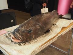 【4月16、17日】IG「#珍怪魚を食べてみよう」珍しすぎるインスタ映え必須イベント発見しまし