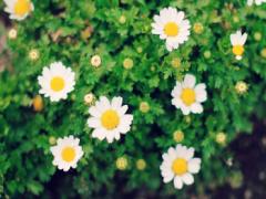 休日の過ごし方で"カワイイ"に差がつく♡GWおすすめまとめ10選