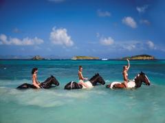 この夏こそは手に入れたい。憧れボディに近づくためのプチエクササイズ集