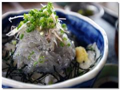 江ノ島で美味しいグルメを堪能♩食べ歩きに最適なお店とゆっくり出来るお店♡