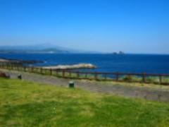 【済州島】韓国最大リゾート地。絶対に食べておきたい3大グルメ