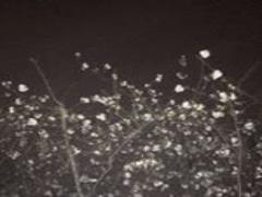 去年と同じは嫌だから！夏に挑戦したいフルーツネイルデザイン3選