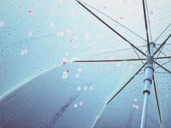 梅雨の時期にも活躍間違いなし！"ヘアアレンジ＋○○"が最強に可愛いの。