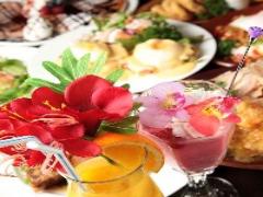 平塚グルメはコスパが素敵なの！地元民が愛するお店10選