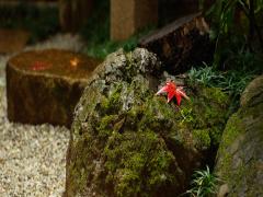 この夏は祇園観光で決まり♡一泊二日で巡る大人女子旅プラン