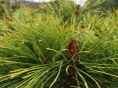 石川県のグルメと観光スポットを満喫♡1泊2日金沢の旅！