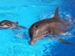 アップスタイルで、涼しくおしゃれに夏を楽しんじゃおう♡