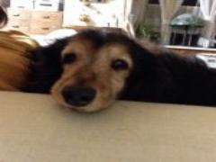 実はとってもよかとこよ。日々の疲れを佐賀観光で癒して♪