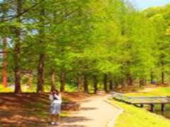 会津地方のおすすめ観光スポットを巡る！福島県1泊2日の旅行プラン