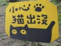 観光の途中にほっと一息。小樽のカフェでゆったりと過ごしてみませんか？