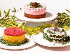 名古屋発。ケーキのような見た目がcuteな”べジデコサラダ”が食べたい♡