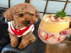 中目黒で和食を食べつくそう！昼夜楽しめるオシャレなお店10選