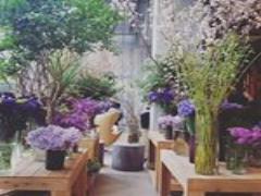 ＜5/11発売＞水色シャドウに続くブームの予感♡CHICCAから夏の新作登場