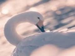 キレイと美味しいが詰まった新潟へ！1泊2日の欲張り観光プラン