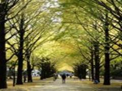 アクティビティ満載！1泊2日で巡る栃木県の観光スポットを楽しむ