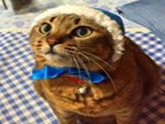 大切な人とゆっくり過ごそう♡盛岡のおススメ観光スポットを1泊2日で満喫