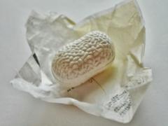 コロンとかわいい繊細な和菓子。「まゆ最中」が絹ごこちの味わい