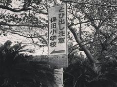 全小学生の夢"学校にお泊り"が時を超えて実現する道の駅「保田小学校」って？