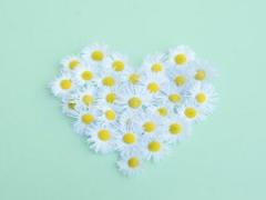 言いたいけど言えない密かな恋心を花言葉にちなんだメイクで伝えちゃお♡