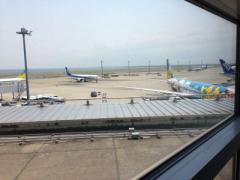 南の楽園、八丈島でのんびり過ごす♡週末旅にピッタリの観光プラン