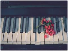 アクセサリー感覚で音楽を。Sudioのイヤホンがおしゃれすぎるって噂です