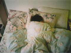 1日10分で痩せ体質が叶う。寝起きに出来ちゃう「朝ヨガ」でスッキリ美bodyに♡