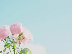 ［全国］食べるだけで美しくなれる気がするの。薔薇モチーフのスイーツ4選