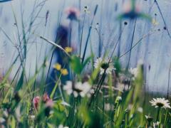 小さな幸せ、咲いてます。インスタ「#道端お花クラブ」大図鑑〜春編〜