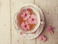 読んだら誰もが行きたくなる。紅茶専門カフェ『8 jours』の5つの魅力