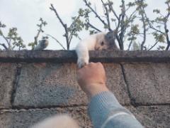 疲れたときに癒される♡instagramで人気のかわいい猫たち