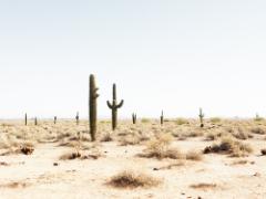 SPF50は危険です。まるで砂漠！日焼け止め後の砂漠肌に潤いチャージ♡