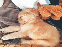 5月病に負けないで。忙しいあなたに使える眠気解消法。
