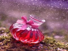 しあわせな香りでドキドキさせて。"LIPS and HIPS"のボディケアにきゅんっ♡