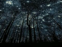 池袋のパフェテラスMilkywayで星座について考えながらパフェ選び♡