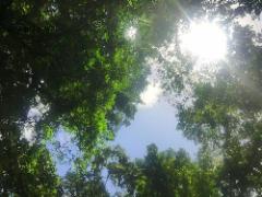 紫外線もブルーライトもカット！？ランコムのCCCクリームが凄い♡