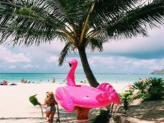 常夏リゾートな指先を＊5種の“ハワイアンネイル”で夏は私のモノ♡