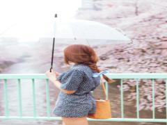 あなたは本当にただのビニール傘でいいの？梅雨彩るおしゃれ傘ブランド5選