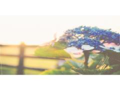 どっぷり梅雨に、浸りましょ。期間限定の”傘フレンチ”で指先を梅雨仕様に♡