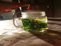 あなたは◯◯茶が好き？知っておくと便利な《種類別》お茶の効能を教えます！