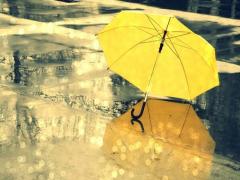 雨が降るのが待ち遠しい？！雨すら楽しめちゃうレイングッズ特集♡