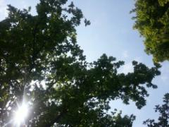 もう化粧崩れに悩まない！4パーツ別ベースアイテムで崩れ知らずのメイクをゲットしよう