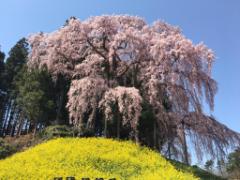 郡山市観光は車で！雄大な自然を感じるドライブ1泊2日