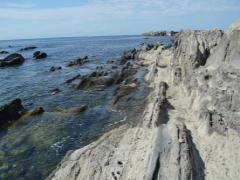 三浦半島と言えばマグロ。 観光名所いっぱいでお腹も満足の1泊2日