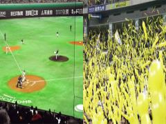 まるで別世界に来たみたい♡ 福岡の夜景スポットでロマンチックな時間を