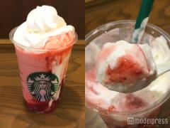【飲んでみた】苺たっぷりの濃厚なフラペ！美味しさの秘密はフワフワのホイップクリーム
